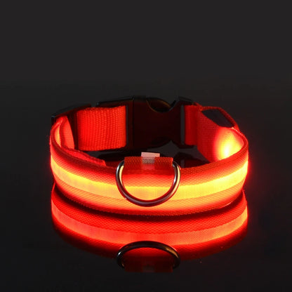 Collar LED para Mascotas.