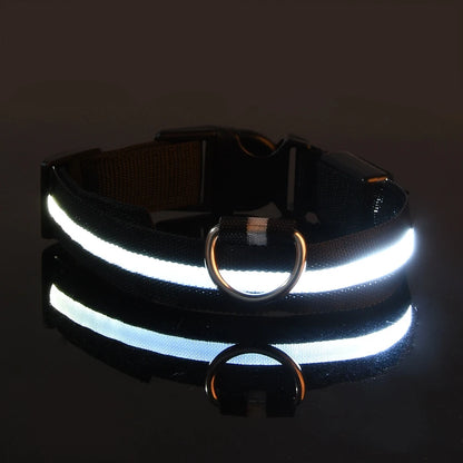 Collar LED para Mascotas.