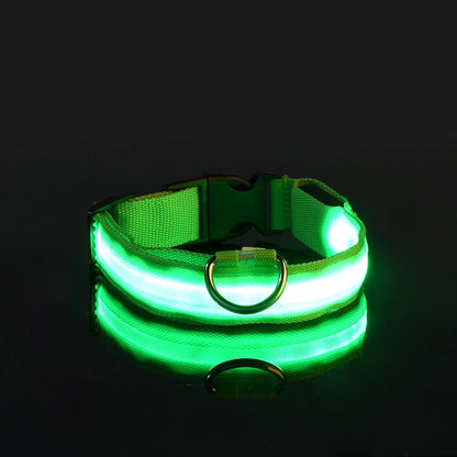 Collar LED para Mascotas.