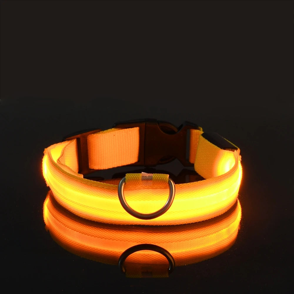 Collar LED para Mascotas.