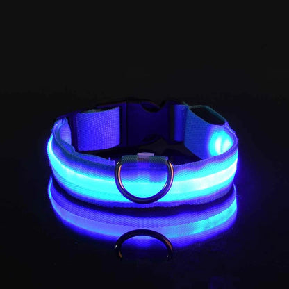 Collar LED para Mascotas.