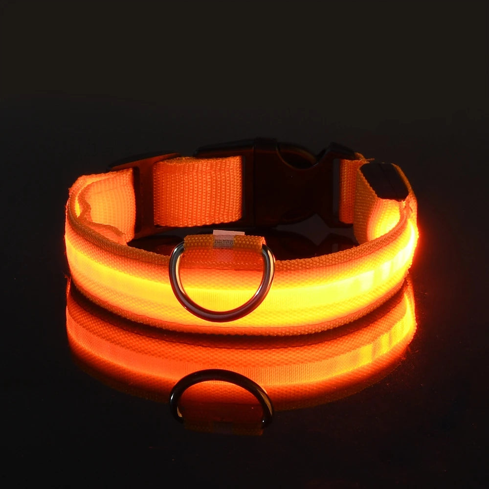 Collar LED para Mascotas.