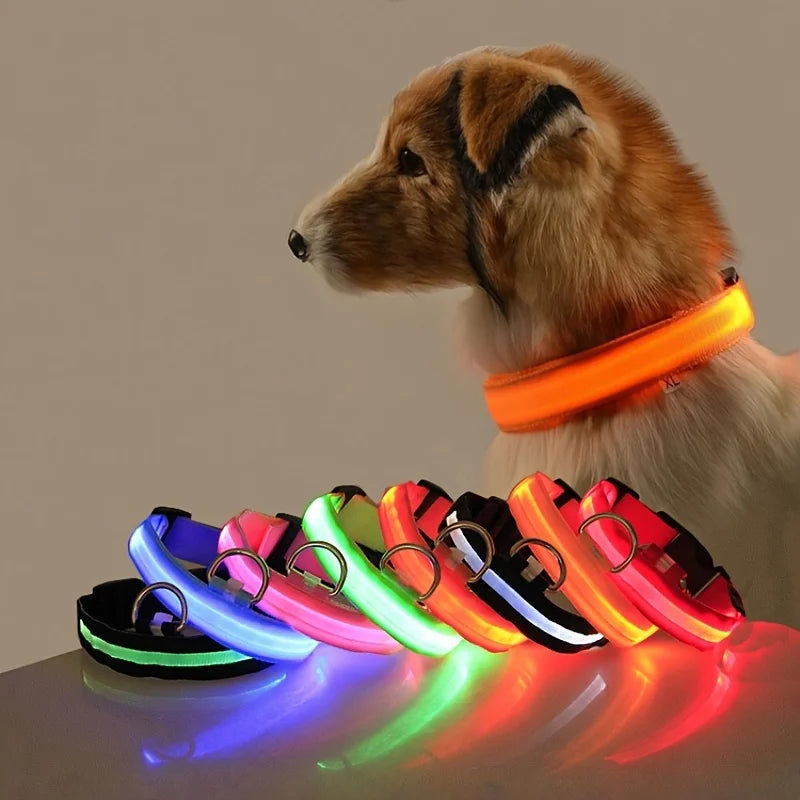 Collar LED para Mascotas.