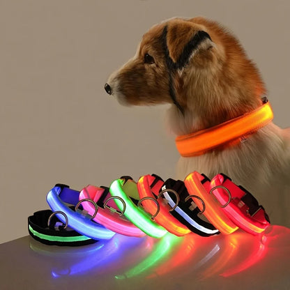 Collar LED para Mascotas.