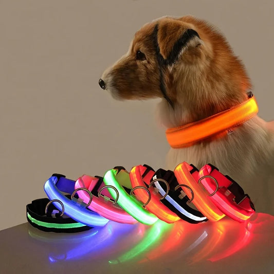 Collar LED para Mascotas.