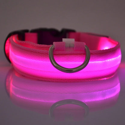 Collar LED para Mascotas.