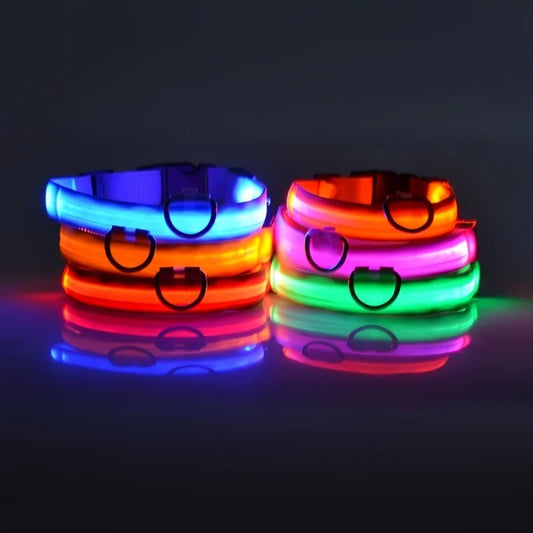 Collar LED para Mascotas.