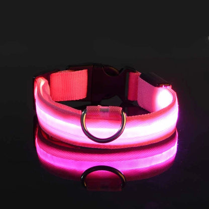 Collar LED para Mascotas.